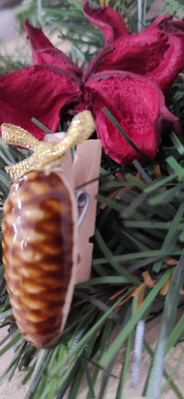 Keramická šiška smrková